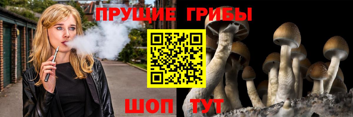 Галлюциногенные грибы GOLDEN TEACHER  Вход с VPN  Видное 